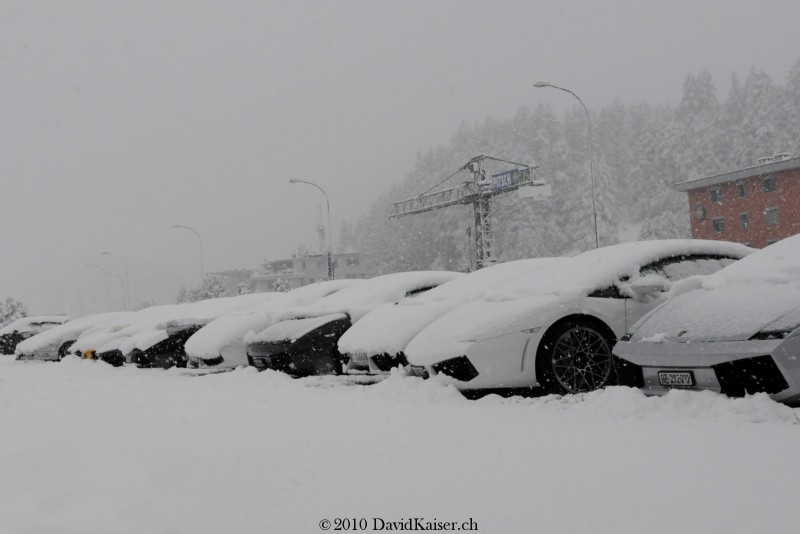 Lamborghini Snow